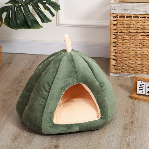 Cat and Small Dog Pumpkin Bed Green