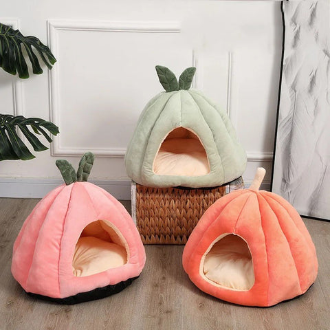 Cat and Small Dog Pumpkin Bed Green