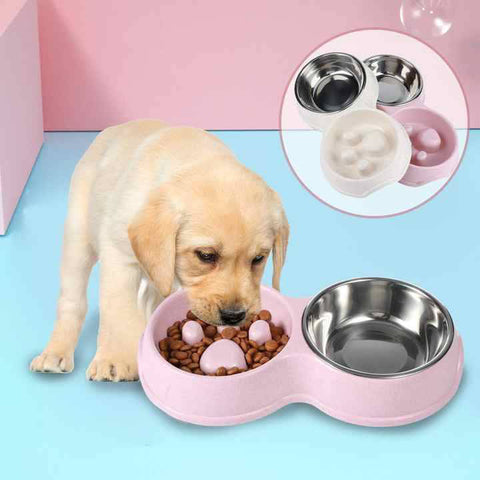 Food/Water Slow Feeder Dog & Cat Bowl