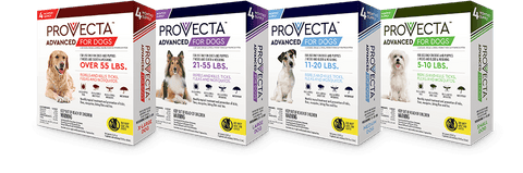 PROVECTA ADVANCED FOR DOGS