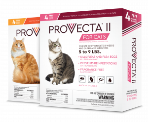 PROVECTA II FOR CATS