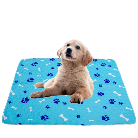 Valston's Pet Training Pads Blue Paw Print + Bone Design XL