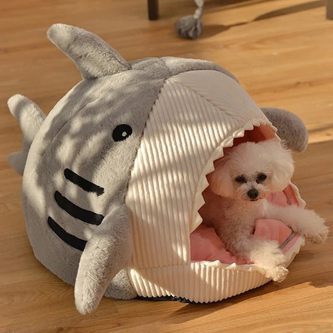 Shark Bed