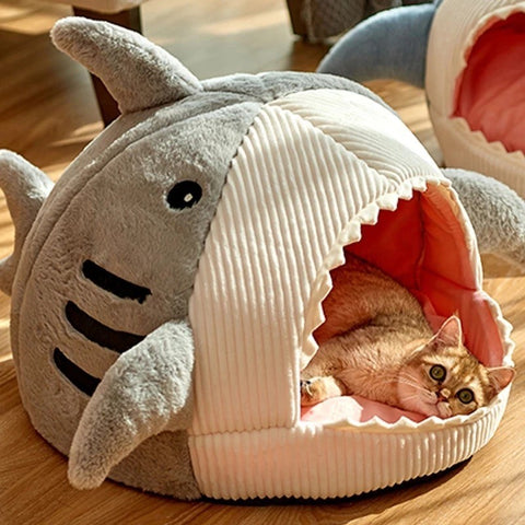 Shark Bed