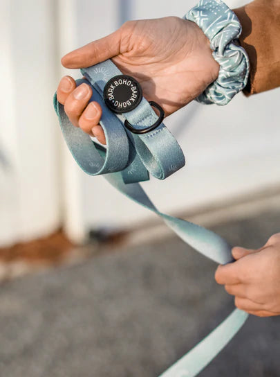 Blue Fabric Leash