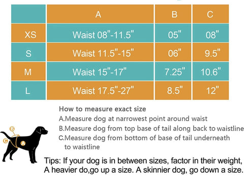 Pet Diaper for Female- Hearts