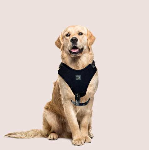 NEOPRENE SPORT DOG HARNESS